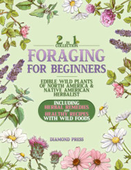 FORAGING FOR BEGINNERS