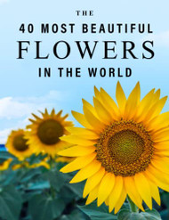 40 Most Beautiful Flowers in the World