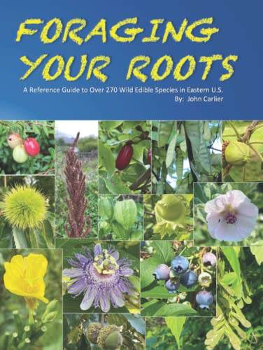 Foraging Your Roots