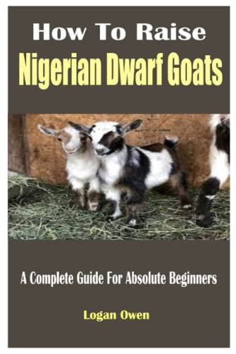 How To Raise Nigerian Dwarf Goats