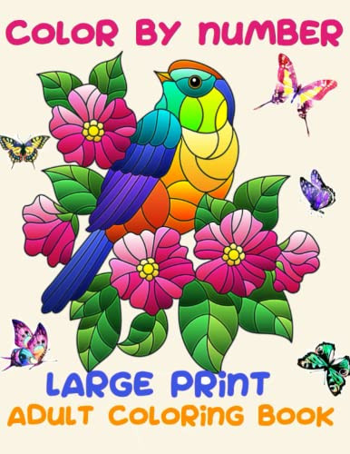 Adult Color By Number Large Print Designs by Lilt Kids Coloring Books