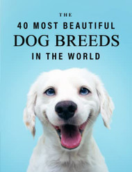 40 Most Beautiful Dog Breeds in the World
