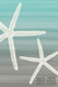 3-Year Planner 2023-2025 with a Starfish Beach Cover 6x9 Size 3-Year Planner 2023-2025 with a Starfish Beach Cover 6x9 Size