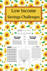 Low Income Savings Challenges