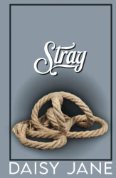 Stray: A Femdom Romance (Men of Paradise)