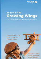Growing Wings: The Ultimate Guide to Prepare for Pilot Interviews