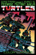 Teenage Mutant Ninja Turtles Color Classics volume 1