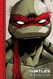Teenage Mutant Ninja Turtles: The IDW Collection Volume 1 - TMNT IDW