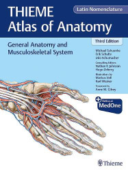 General Anatomy and Musculoskeletal System