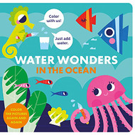 In the Ocean (Water Wonders)