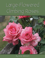 Large-Flowered Climbing Roses