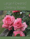 Large-Flowered Climbing Roses