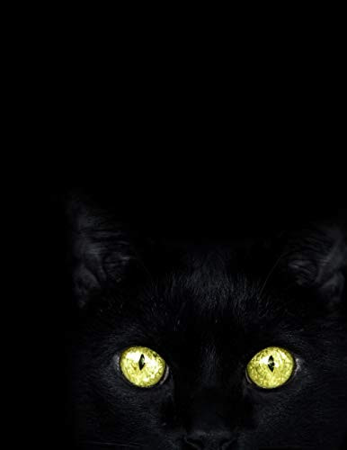 Black Paper Notebook: Black Cat Notebook Paper Book For Use With Gel