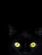 Black Paper Notebook: Black Cat Notebook Paper Book For Use With Gel