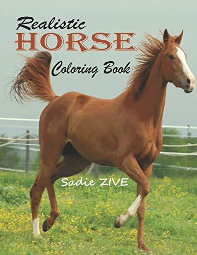Realistic Horse Coloring Book