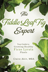 Fiddle Leaf Fig Expert