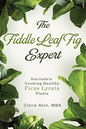 Fiddle Leaf Fig Expert