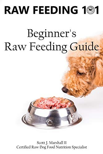Raw Feeding 101: Beginner's Raw Feeding Guide