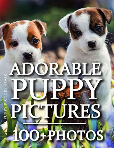 Puppy Picture Book - Adorable Puppy Pictures