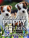 Puppy Picture Book - Adorable Puppy Pictures
