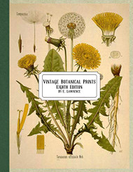 Vintage Botanical Prints