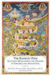 Elephant Path: Attention Development and Training in Children