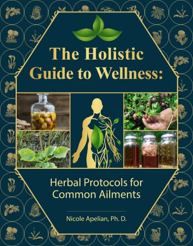 Holistic Guide to Wellness