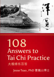 108 Answers to Tai Chi Practice: a¤ªe¥µa¿ ç¼ç¾ç