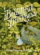Beautiful Darkness