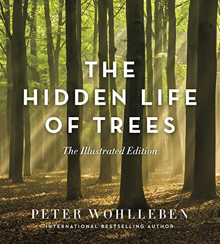 Hidden Life of Trees: The Illustrated Edition