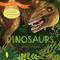 Shine-a-Light: Dinosaurs: A Shine-a-Light Book