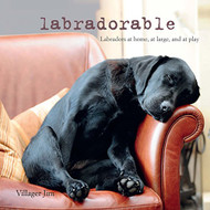 Labradorable: Labradors at home at large and at play