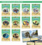 Phonic Books Island Adventure