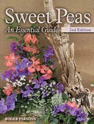 Sweet Peas: An Essential Guide