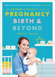 Modern Midwife's Guide to Pregnancy Birth and Beyond
