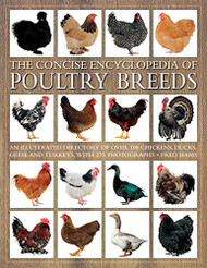 Concise Encyclopedia of Poultry Breeds