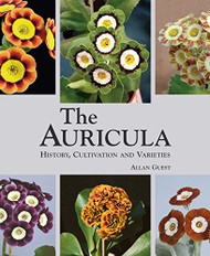 Auricula: History Cultivation and Varieties