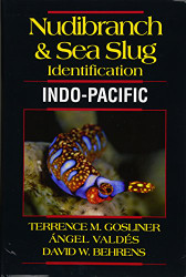 Nudibranch & Sea Slug Identification
