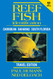 Reef Fish Identification Travel Edition