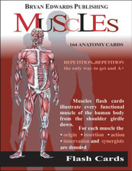 Muscles (Flash Cards) (Flash Anatomy)