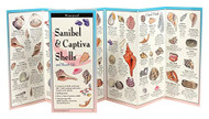 Sanibel & Captiva Shells and Beach Life (Foldingguides)