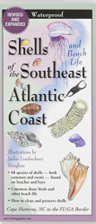Shells of the Southeast Atlantic Coast: Folding Guide