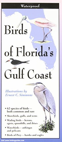 Birds of Florida's Gulf Coast: Folding Guide (Foldingguides)