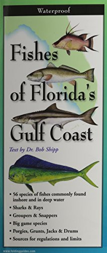 Fishes of the Florida's Gulf Coast