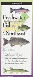 Freshwater Fishes of New England & Adirondacks: Folding Guide