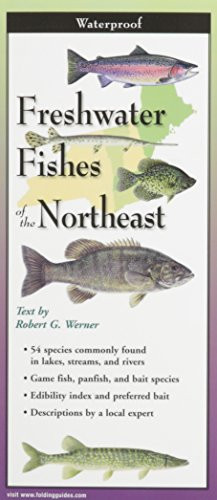 Freshwater Fishes of New England & Adirondacks: Folding Guide