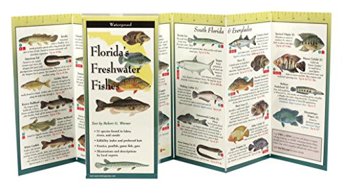 Florida Freshwater Fishes: Folding Guide (Foldingguides)