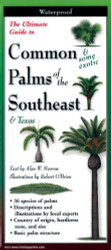 Palms of the Southeast: Folding Guide (Foldingguides)