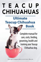 Teacup Chihuahuas. Teacup Chihuahua complete manual for care costs