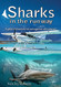 Sharks in the Runway: A Seaplane Pilot's Fifty-Year Journey Through